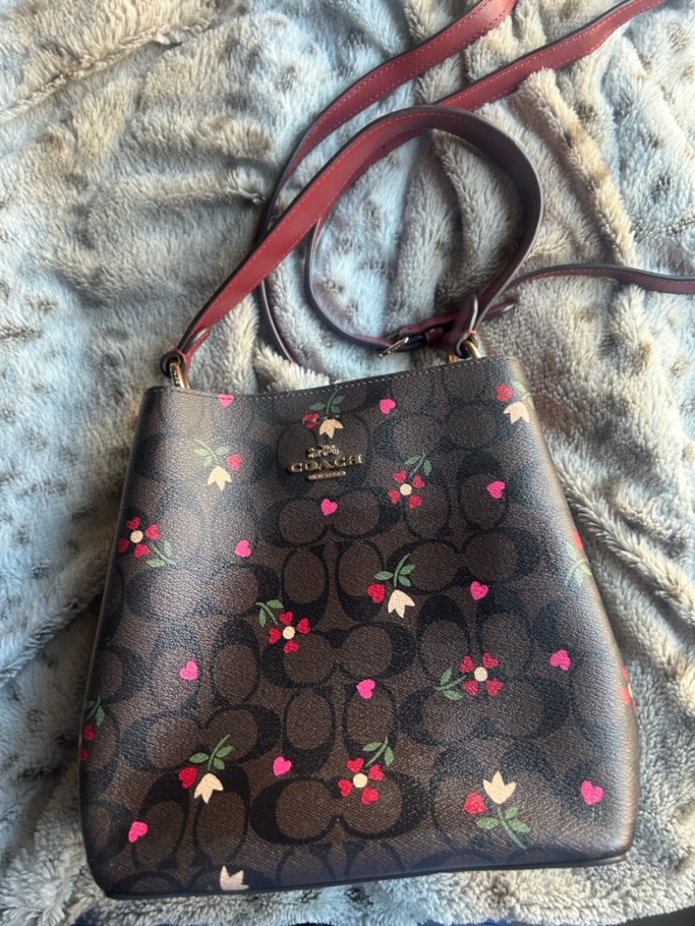 Small town coach bucket bag